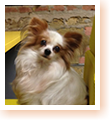 Profile picture of Lola