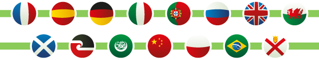 Banner with 13 flags